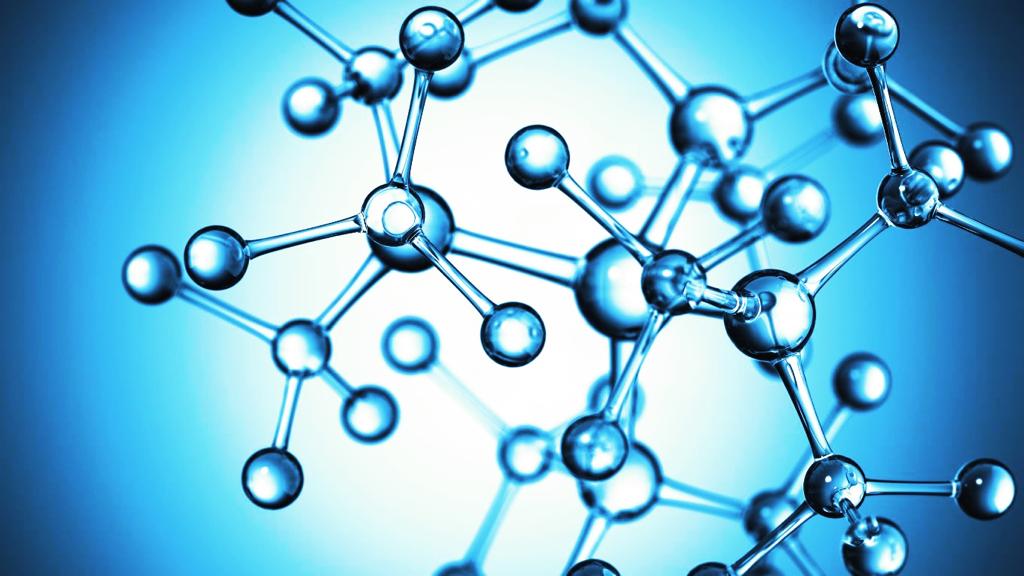 Alchemy Nootropic Ingredients & Natural Nootropic Coffee Blend at Alchemy Nootropics